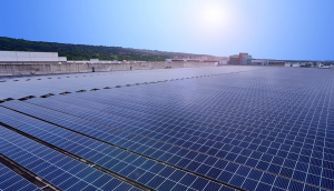 中美硅晶与77779193永利携手战略合作